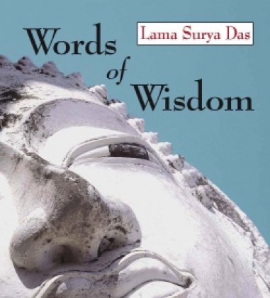 Lama Surya Das' Words of Wisdom